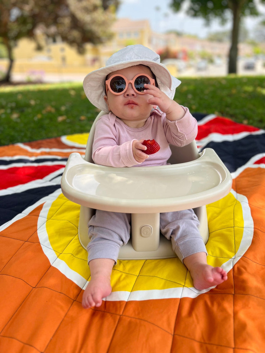 Proper Posture Floor and Booster SeatBooster Feeding SeatBoppy